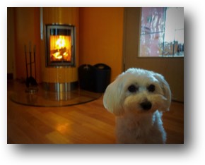 kachelofen mit hund