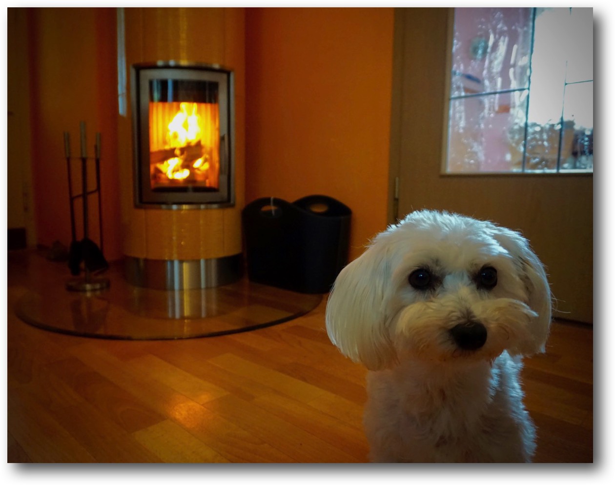 Kleinkachelofen-Sanfte-Strahlungswaerme-5